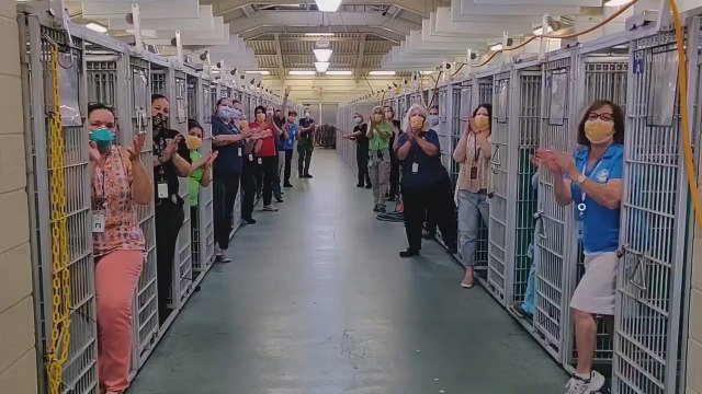 Florida Kennel Goes Empty After Wave Of Adoptions