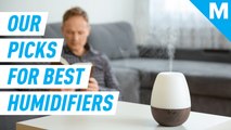 Help the indoors feel as fresh as the outdoors with these humidifiers