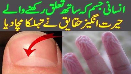 下载视频: Unknown Facts About Human Body | Interesting Facts About Human Body in Urdu_hindi | facts about human body,human body facts,human body,unknown facts about human body,interesting facts about human body,unknown facts,amazing facts about human body