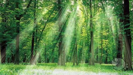 Cómo escribir un Guión Cinematográfico_Trim