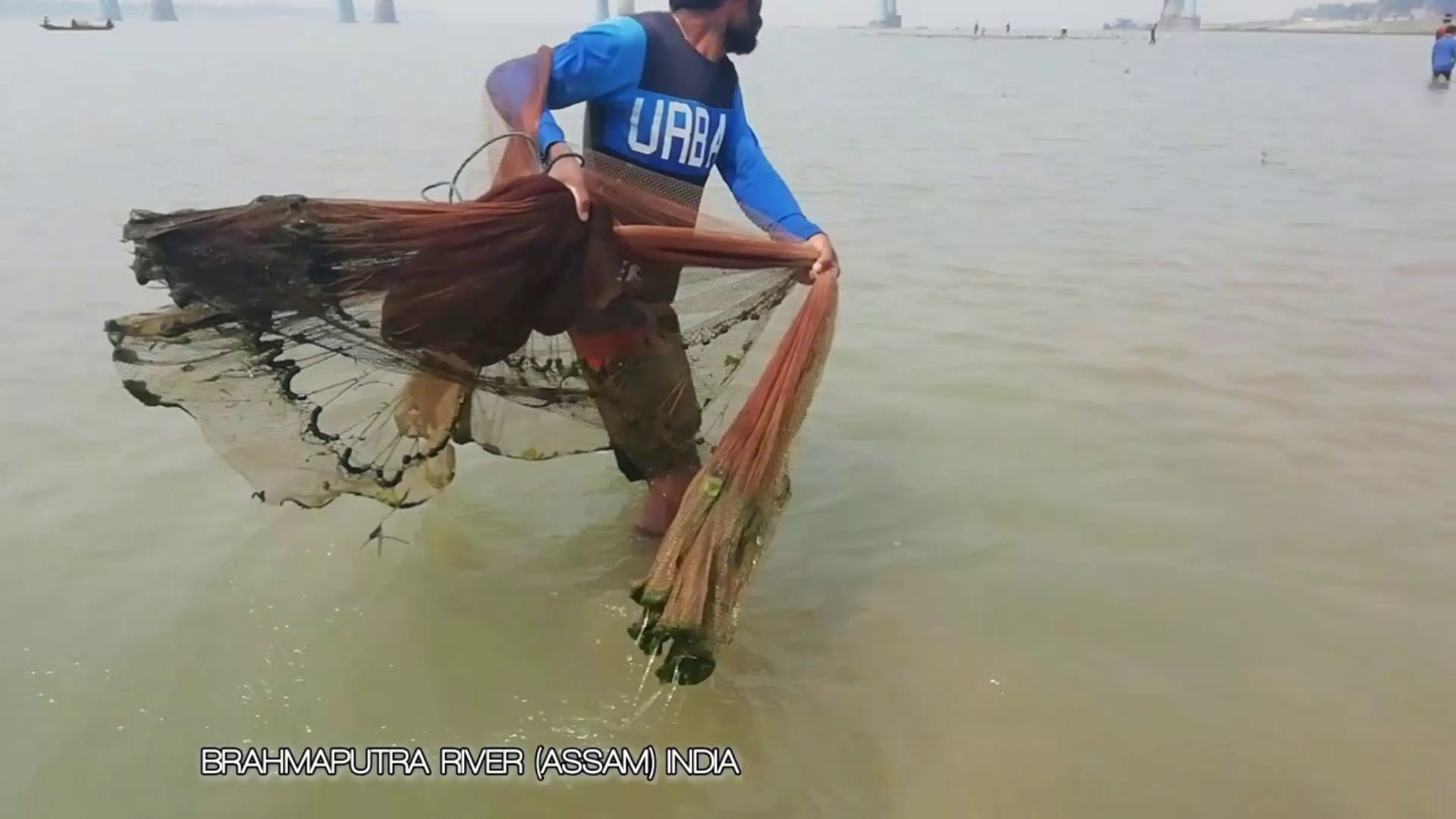 Cast net fishing || cast net fishing in the rive brahamaputra || net fishing