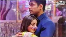 Alleged Love Story Of Bigg Boss Contestants Sidharth Shukla And Shehnaaz Gill