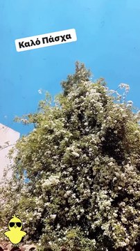 Ελένη Μενεγάκη: Έτσι πέρασε το Πάσχα με την οικογένειά της- Βίντεο από την αυλή του σπιτιού της!