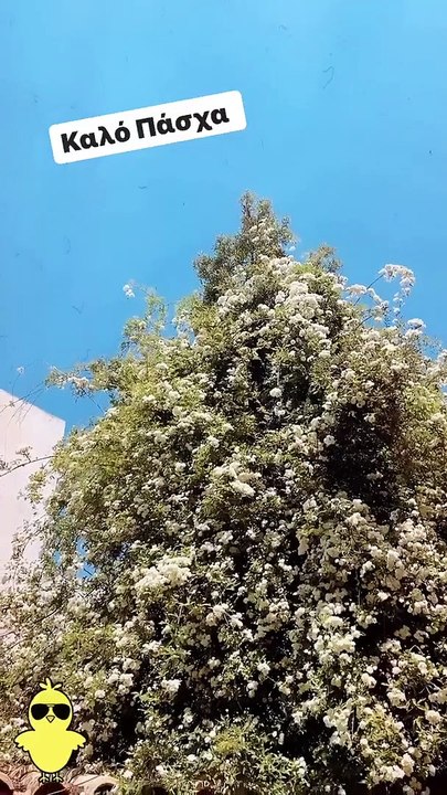 Ελένη Μενεγάκη: Έτσι πέρασε το Πάσχα με την οικ...