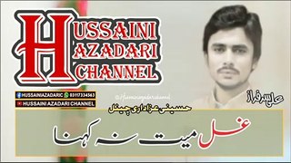 Jab Khuda Ko Pukara Ali (a.s) Aa Gaye | Lyrics Status | Ali Sarfaraz | Hussaini Azadari Channel