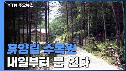 휴양림·수목원 내일부터 문 연다..."다음번 유행 준비해야" / YTN