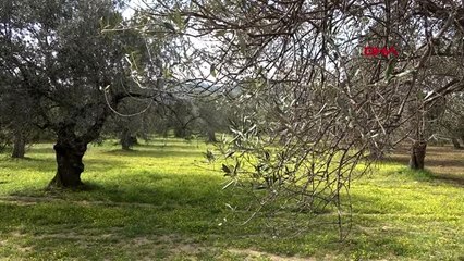BALIKESİR Dr. Tan: Milli ürün kullanımı salgının önüne geçer