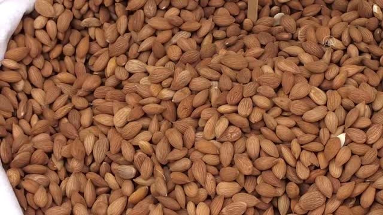 Yılın ilk çeyreğinde 2,87 milyon dolarlık kayısı çekirdeği ihracatı