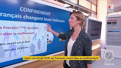 Coronavirus : les Français vivent assez bien le confinement, selon l'Ifop