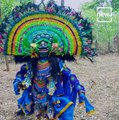 Watch How This Chhau Dancer Is Spreading Coronavirus Awareness