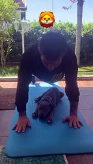 Adem Büyük karantinada köpeğiyle çalıştı