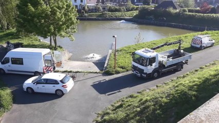 Antoing Darse sauvetage poissons 2