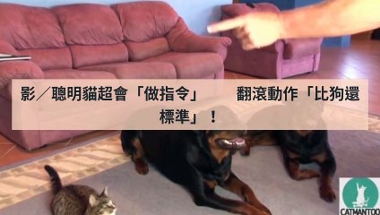 adgeek_teepr_curation_desktop_bottom-copy3-20200421-17:41