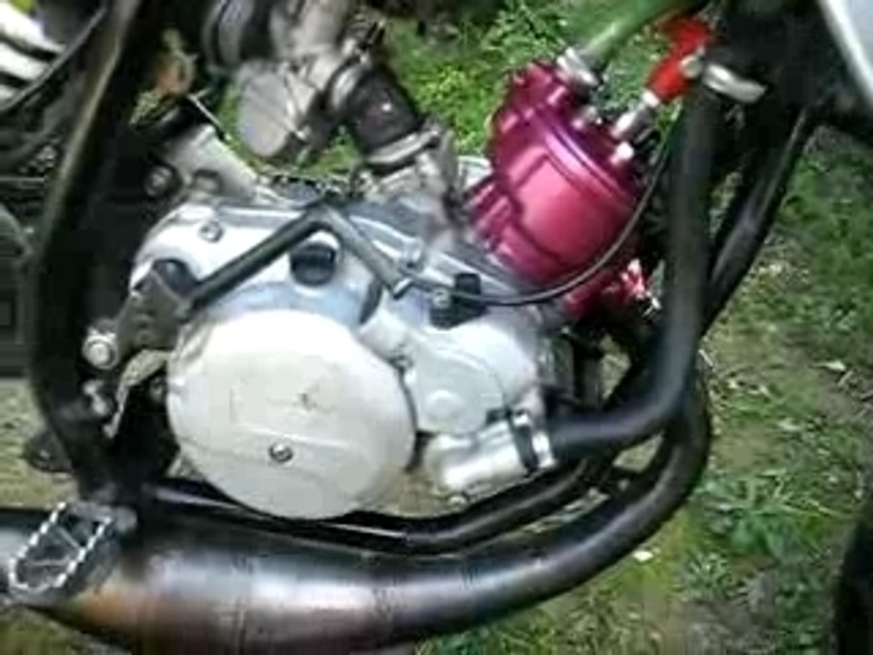 hrd top rose
