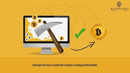 Blocklogy - Bitcoin Mining & Rewards