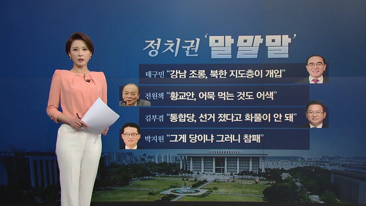 [뉴있저] 정치권 오늘의 '말말말' - 태구민 "강남 조롱, 북한 지도층이 개입" /...