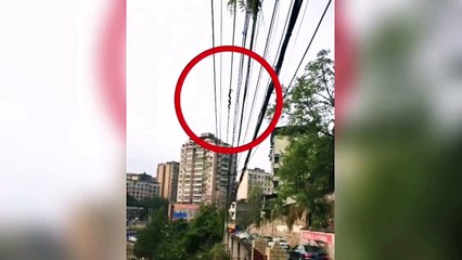 Chinese firefighters catch snake wrapped around power lines