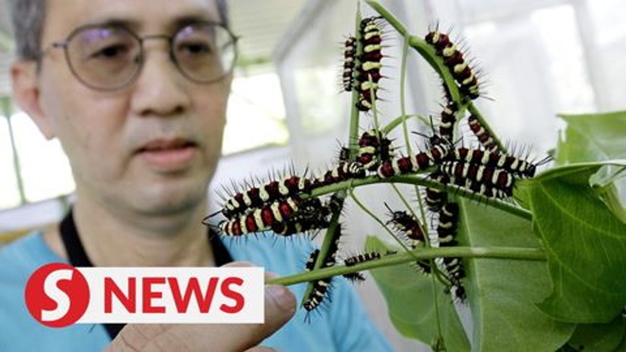 Park struggling to keep animals alive