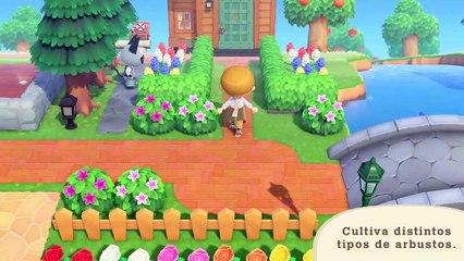Animal Crossing: New Horizons - Primera actualización
