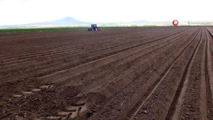 Niğde'de patates ekimi başladı