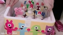 Hari bí mật tổ chức sinh nhật cho Trấn Thành ở Hàn Quốc