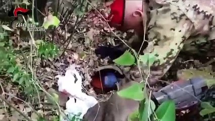 Locride - Fucile e munizioni nasconsti a Vene di Ciminà (21.04.20)