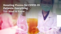 Donating Plasma for COVID-19 Patients: Everything You Need to Know