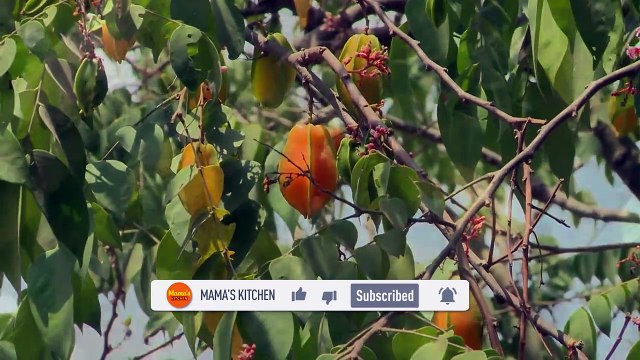 COOKING WITH MY MOM _ Wild with papaya soup cooked with Shrimp _ Healthy Foods _ Village Food