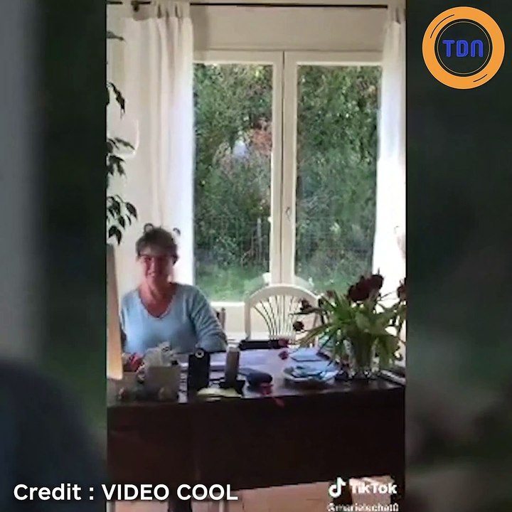 Confinement : Un lapin de Pâques s’invite à un cours en visioconférence, c’est hilarant !