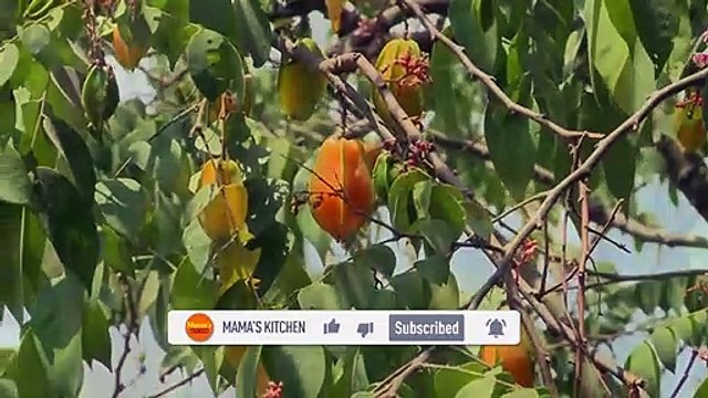 COOKING WITH MY MOM _ Wild with papaya soup cooked with Shrimp _ Healthy Foods _ Village Food