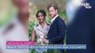 Meghan Markle and Prince Harry's Private Texts to Her Father Disclosed in New Legal Documents