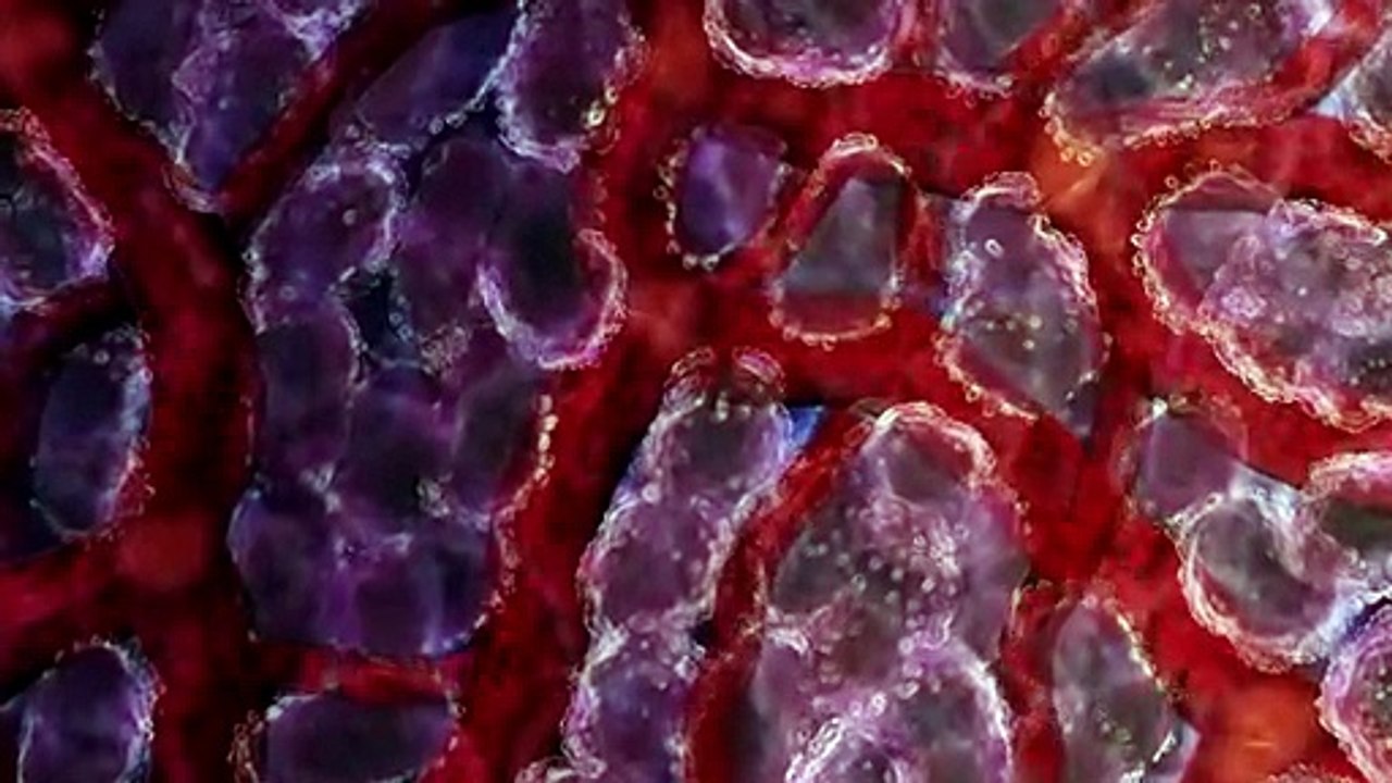 Warum ClO2 bei Covid 19 funktioniert