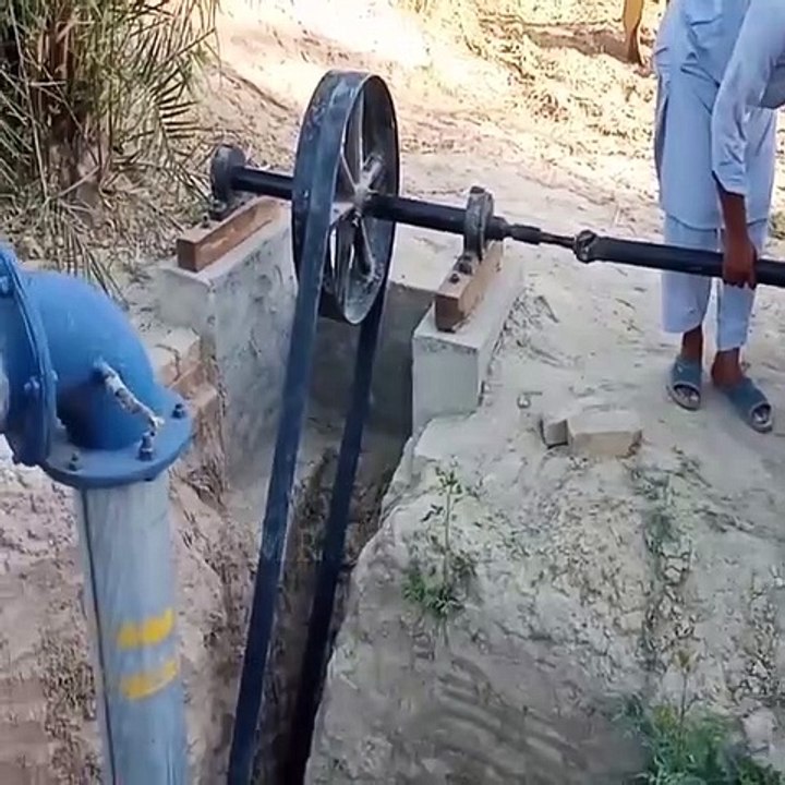 10000000_247782343024171_1468058455258269608_n
