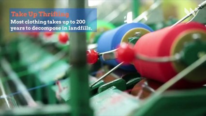 4 Green Resolutions to Begin on Earth Day