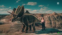 El final de los dinosaurios  [ HD ] - Documental