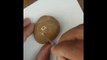 Stone painting 001 - Decorate small stone with oil paint step by step