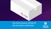 The First At-Home COVID-19 Test Has Been Authorized