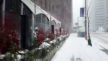 Winter in Toronto | Snowfall in Toronto | Canada Snowfall