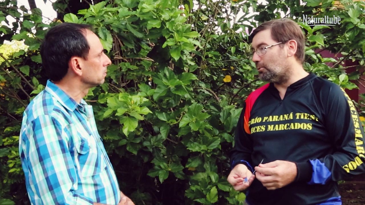 Proyecto Peces Marcados Entrevista por Néstor Saavedra