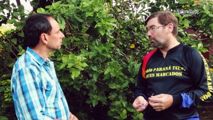 Proyecto Peces Marcados Entrevista por Néstor Saavedra