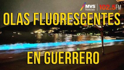 Olas fluorescentes en Guerrero
