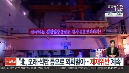 "北, 모래·석탄 등 수출로 외화벌이…제재위반 계속"