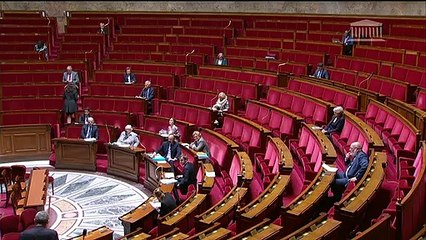 1ère séance : Questions au Gouvernement - Mardi 21 avril 2020