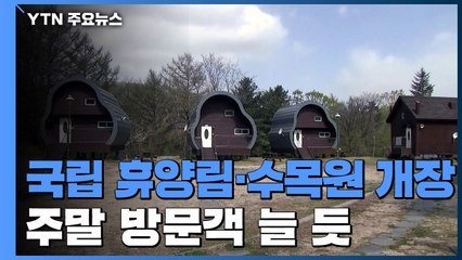 오늘부터 국립 휴양림·수목원 개장...주말 인파 늘어날 듯 / YTN