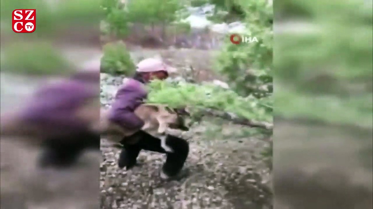 Hasta dağ keçisi yavrusunu 4 kilometre sırtında taşıdı