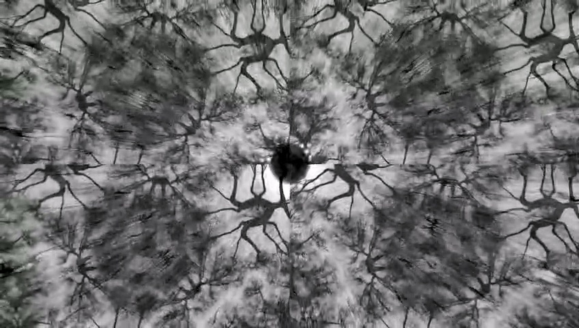 ⁣Dark Dance House Ambient v19