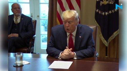 "Will be in effect for 60 days", Trump on US immigration suspension