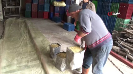 Asırlık gelenek 'Doğal sabun' için randevu almaya başladı