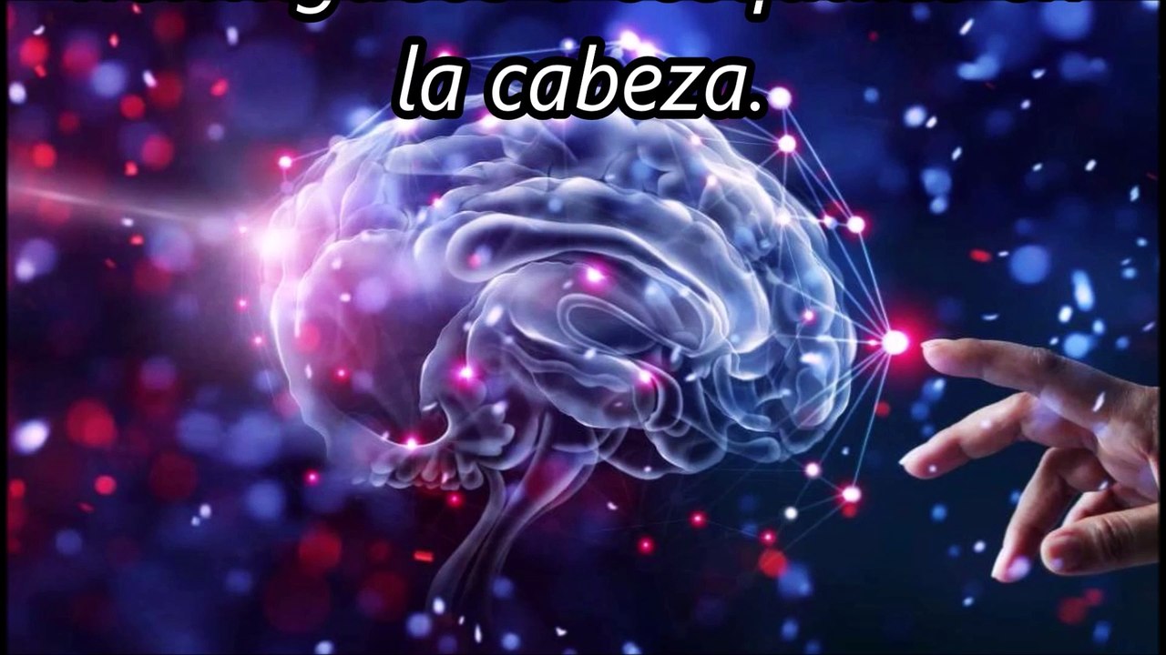 QUE ES EL ASMR ?