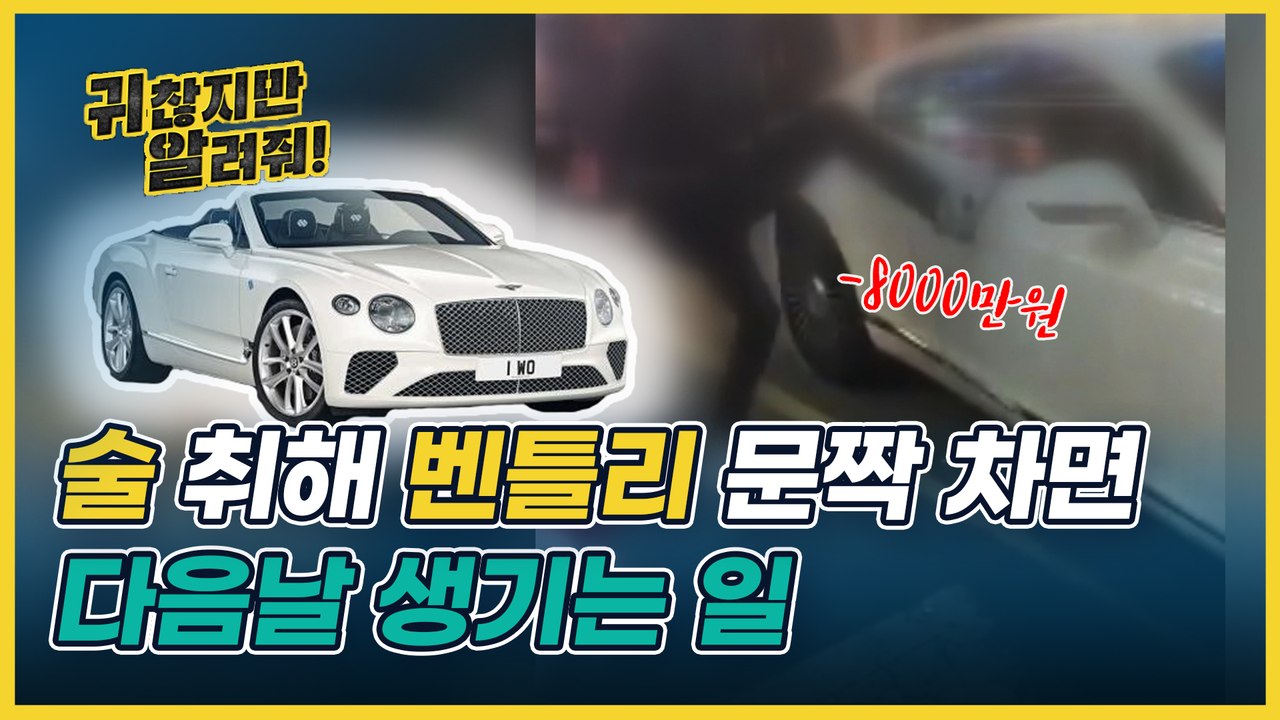 술 취해 벤틀리 문짝 차면 얼마 깨짐 (수리비+렌탈비+ 소송비용= 총비용) [귀찮지만 알려줘ep.12]